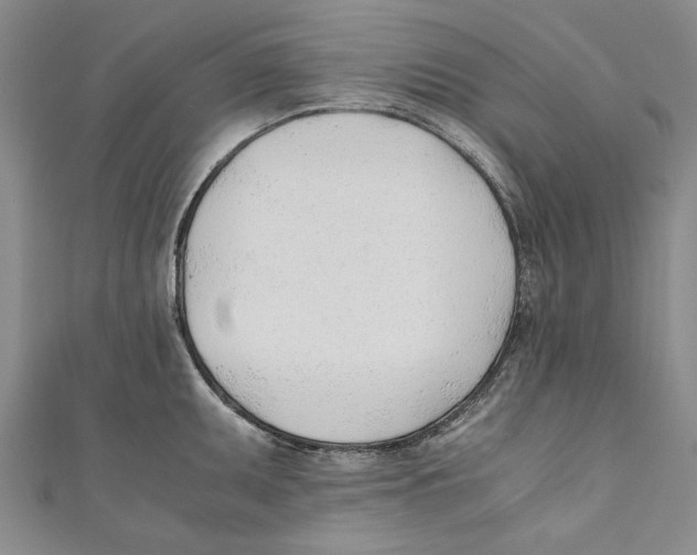X0000110671095200907101101