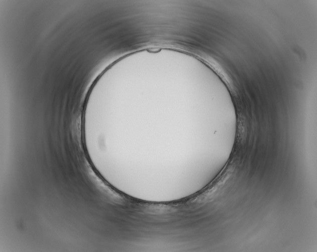 X0000110671100200907101101