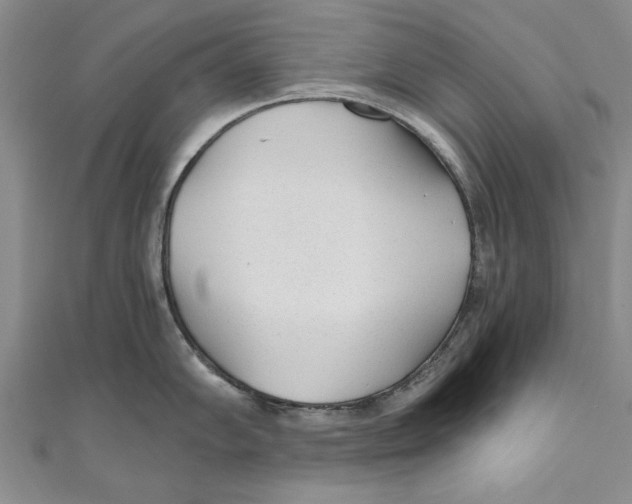 X0000110671102200907101101