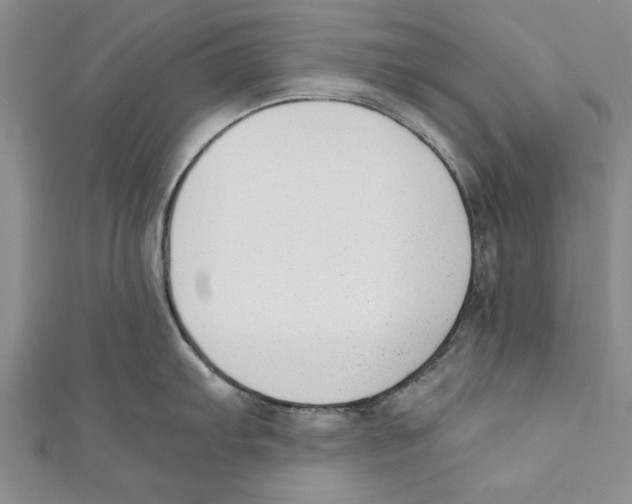 X0000110671103200907101101