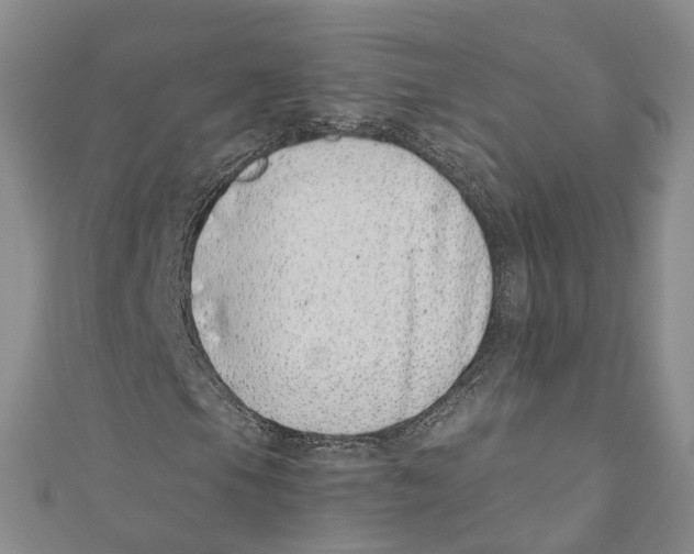 X0000110671105200907101100