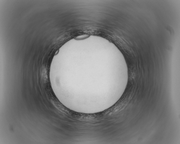 X0000110671106200907101100