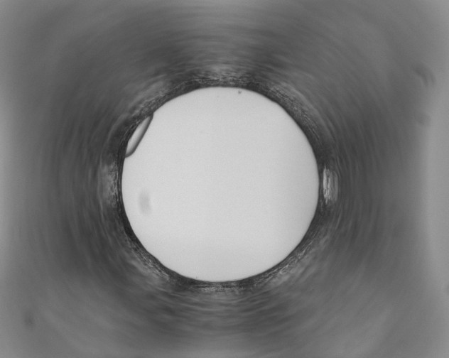 X0000110671107200907101100