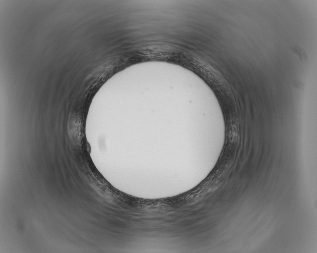 X0000110671108200907101100