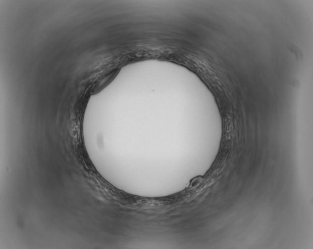 X0000110671109200907101100