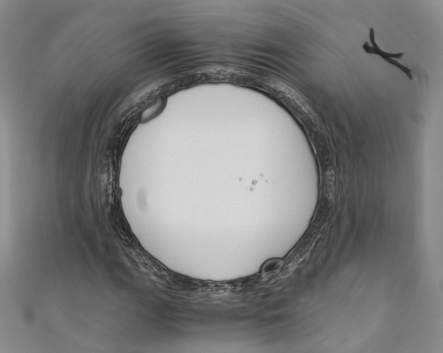 X0000110671111200907101100
