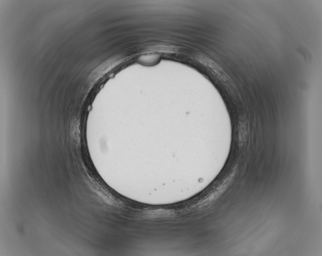 X0000110671113200907101100