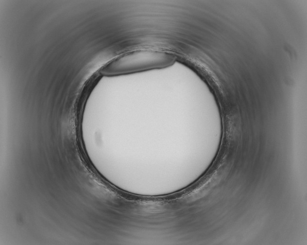 X0000110671114200907101100