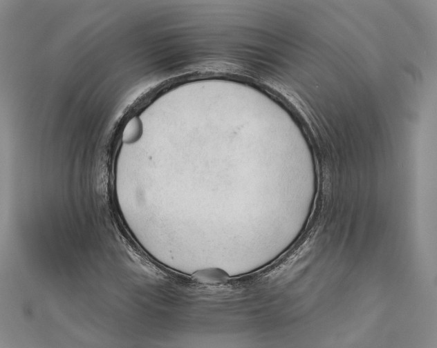 X0000110671115200907101100
