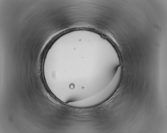 X0000110671116200907101100