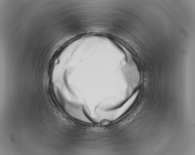 X0000110671117200907101100