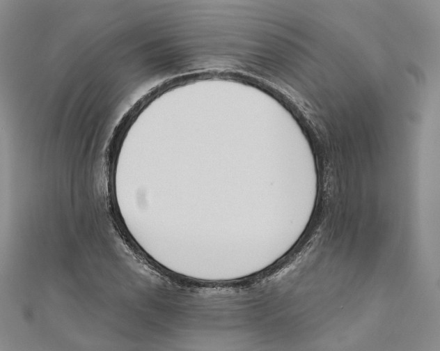 X0000110671118200907101100
