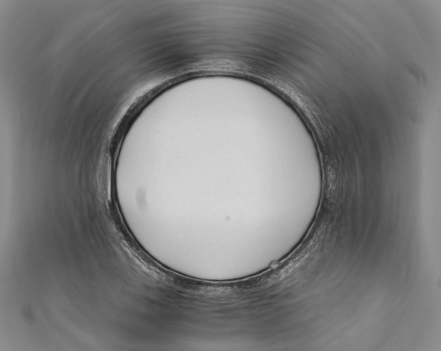 X0000110671123200907101100