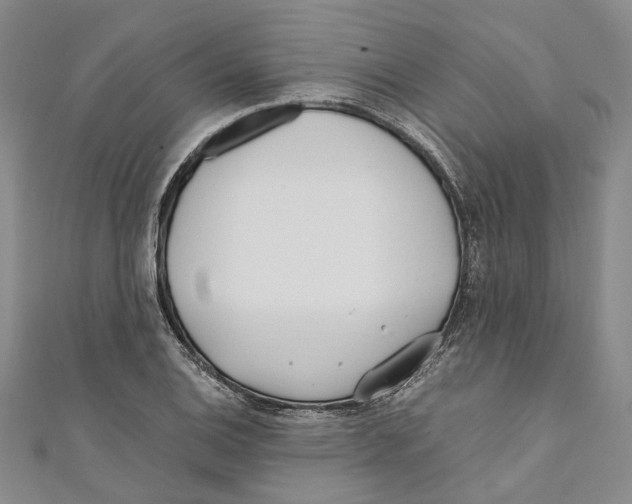X0000110671124200907101100
