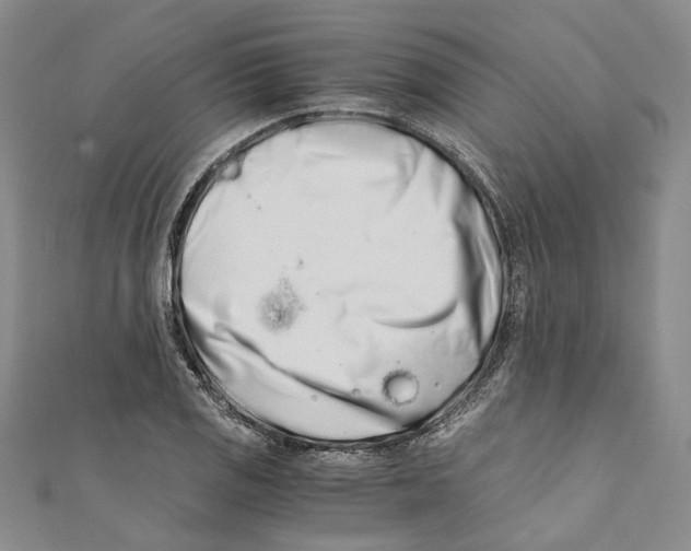 X0000110671125200907101100