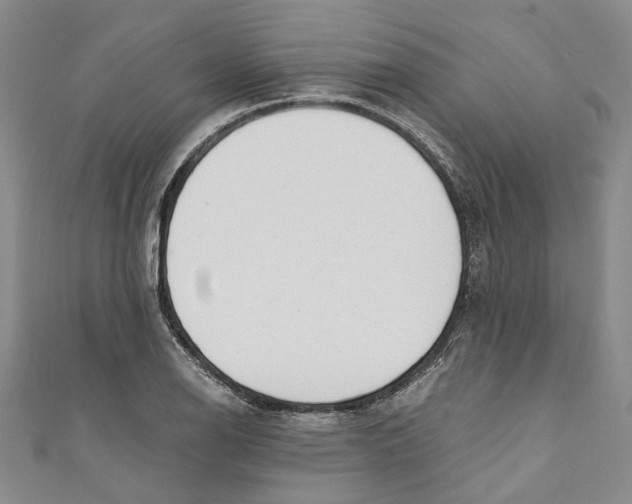 X0000110671126200907101100