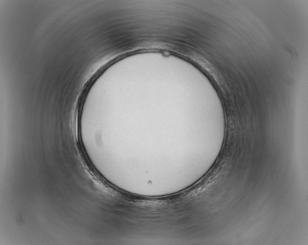 X0000110671127200907101100