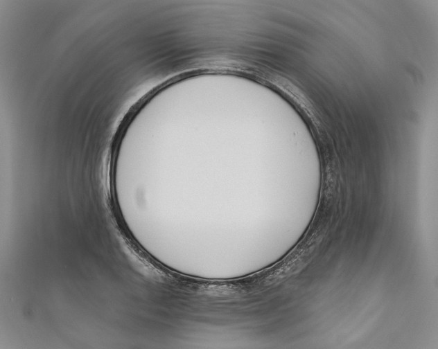 X0000110671128200907101100