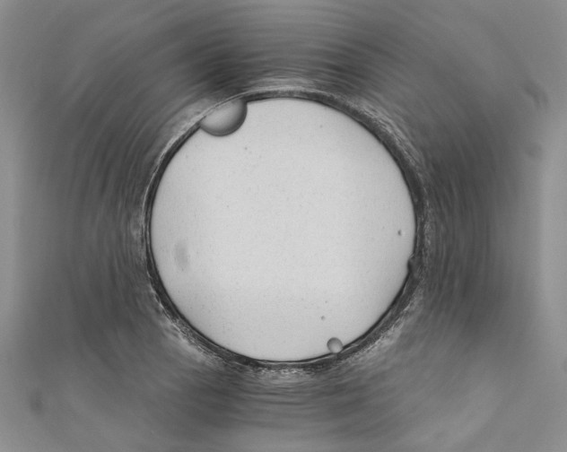 X0000110671129200907101100