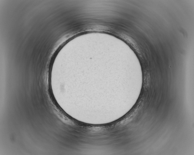 X0000110671130200907101100