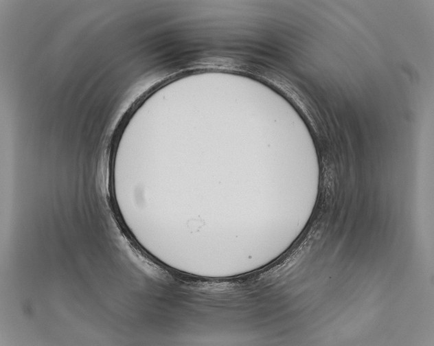 X0000110671131200907101100