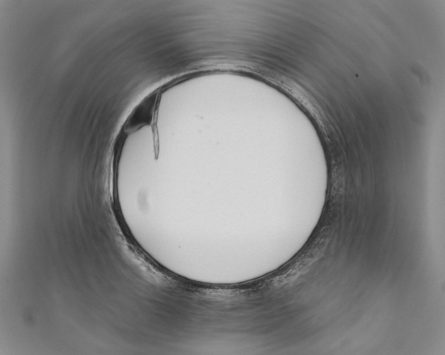 X0000110671132200907101100