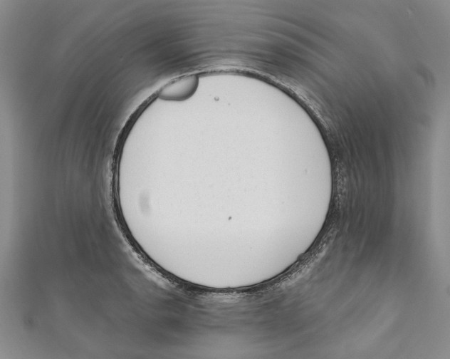 X0000110671134200907101100