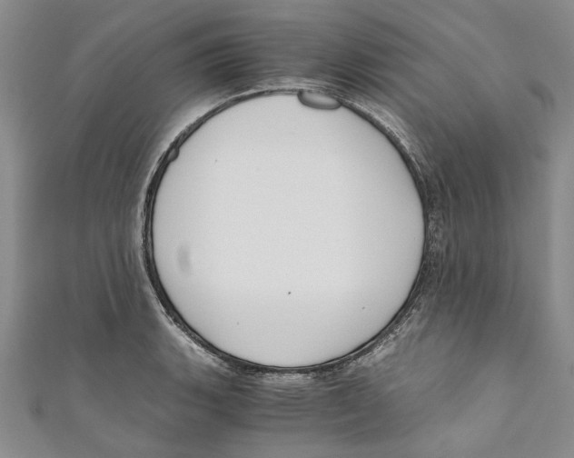 X0000110671135200907101100