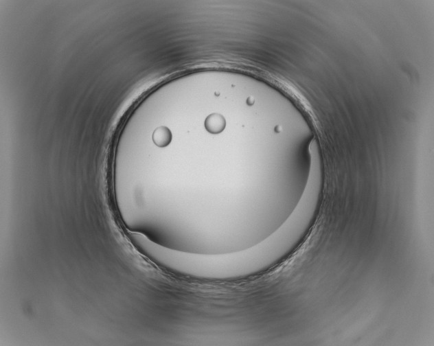 X0000110671138200907101100