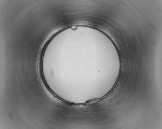 X0000110671139200907101100