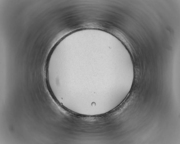 X0000110671141200907101101