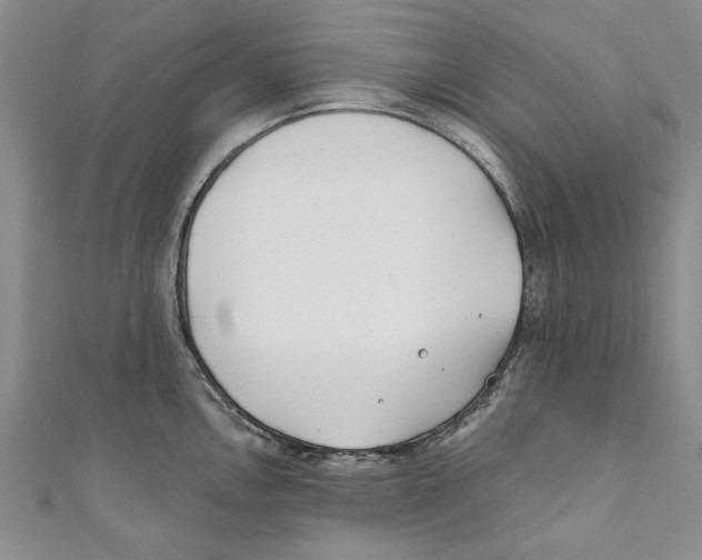 X0000110671146200907101101