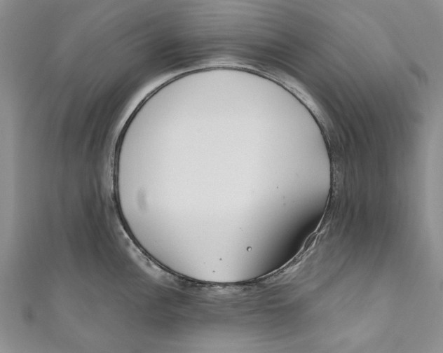 X0000110671148200907101101
