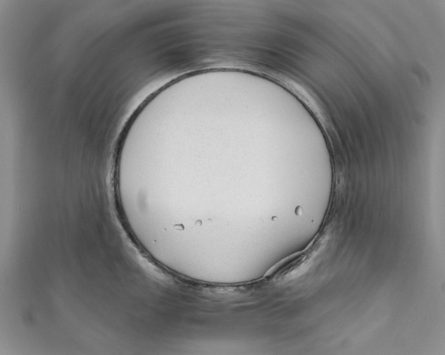 X0000110671149200907101101