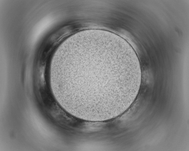 X0000110671150200907101101