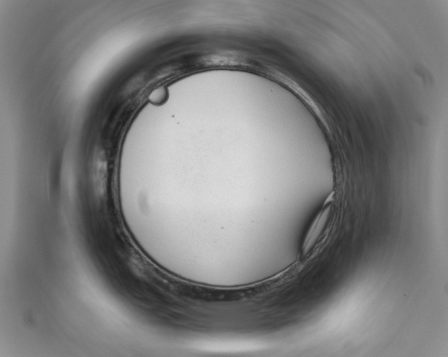 X0000110671151200907101101