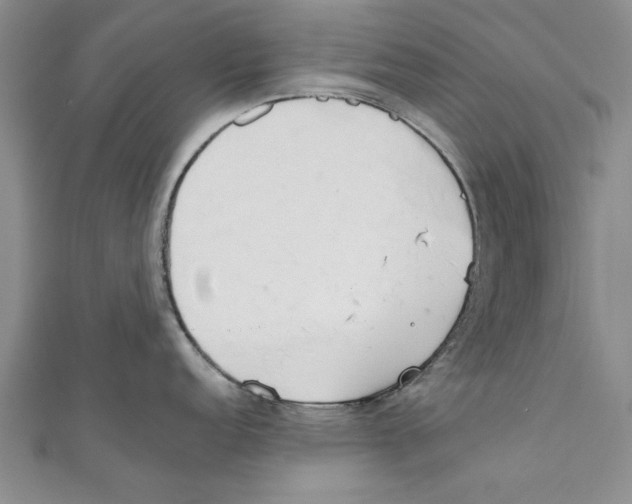X0000110671152200907101101