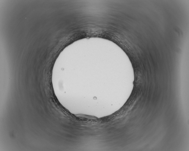 X0000110671153200907101100