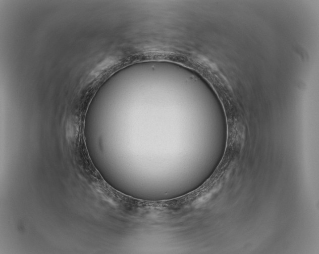 X0000110671157200907101100