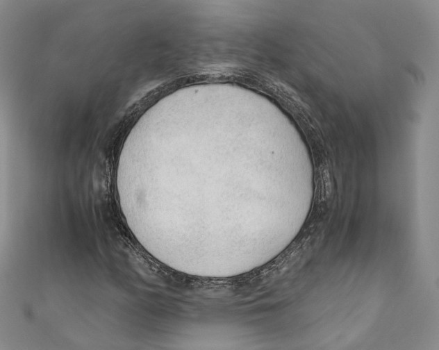 X0000110671158200907101100
