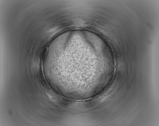 X0000110671161200907101100