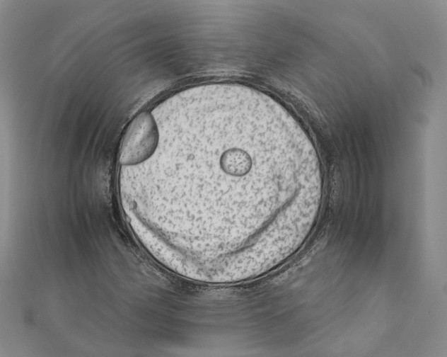 X0000110671162200907101100