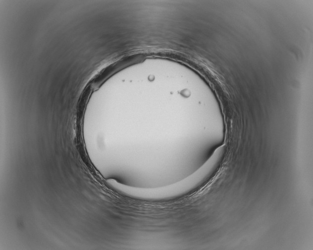 X0000110671165200907101100