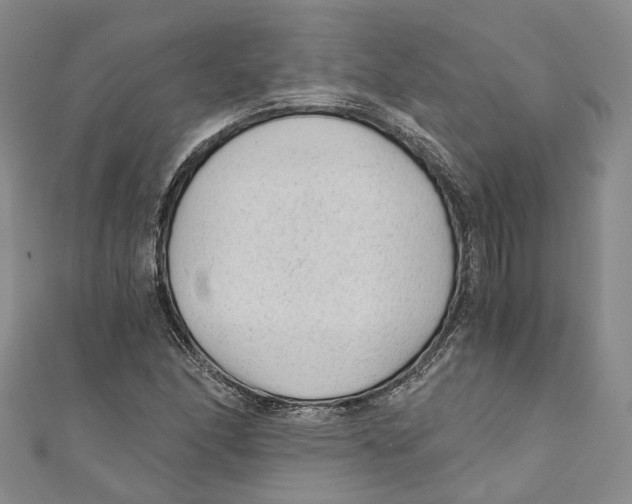 X0000110671166200907101100