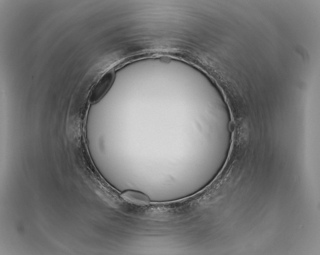 X0000110671169200907101100