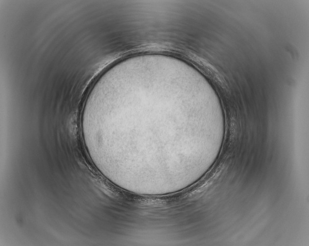 X0000110671170200907101100
