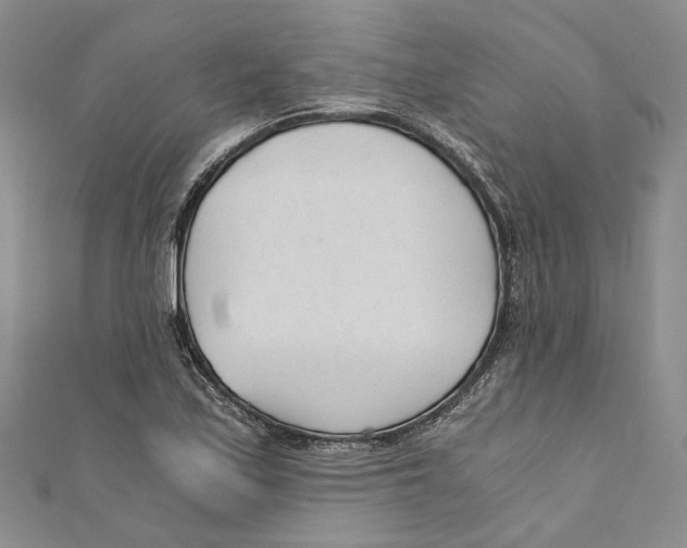 X0000110671171200907101100