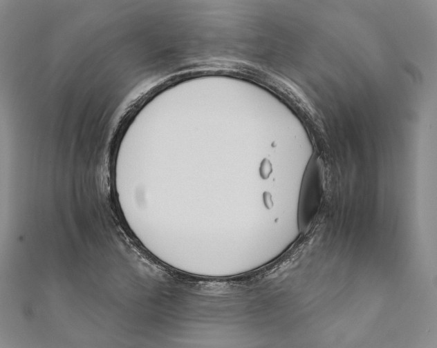 X0000110671172200907101100