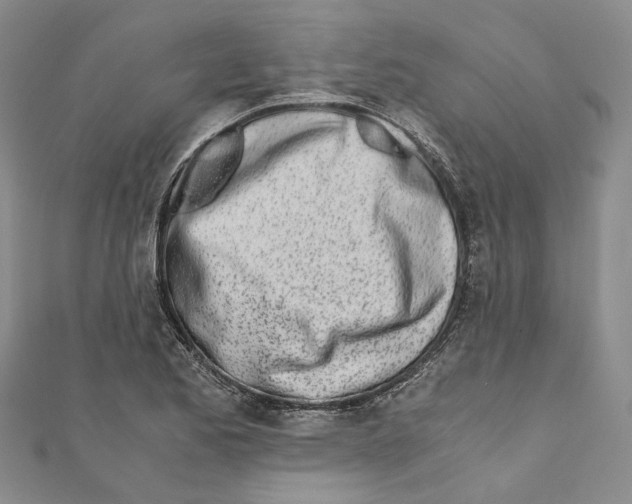 X0000110671173200907101100