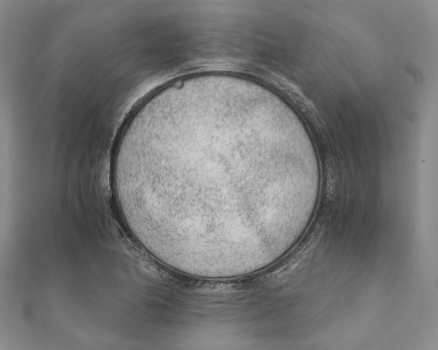 X0000110671174200907101100